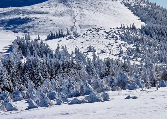 Appartement 4/6 Pers. Coeur De Station, Proche Pistes, Wifi - Fr-1-814-69 Besse-et-Saint-Anastaise